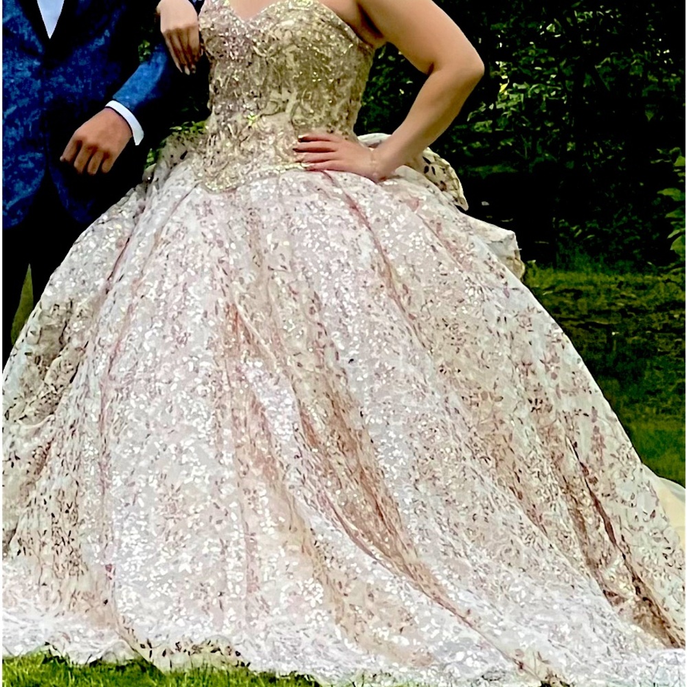 Beautiful sweet sixteen or bridal dress